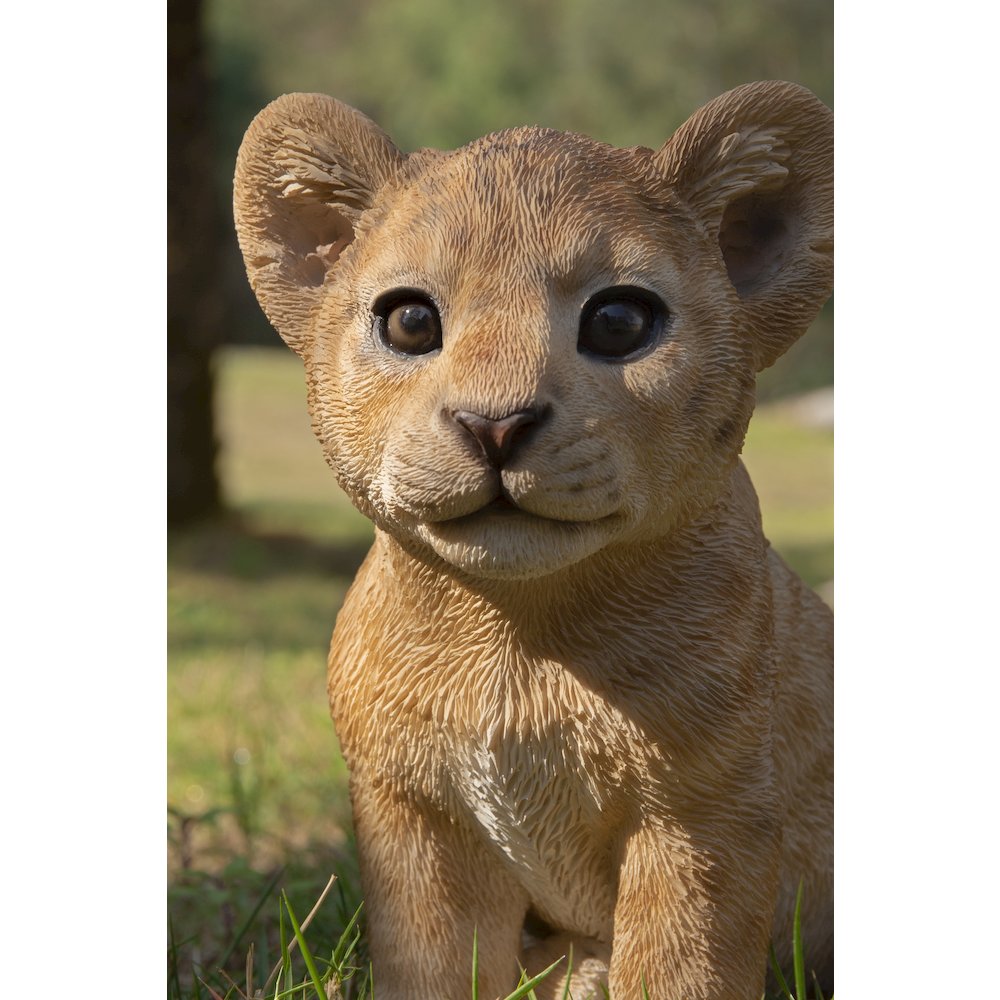 Sitting Lion Cub Statue. Picture 4