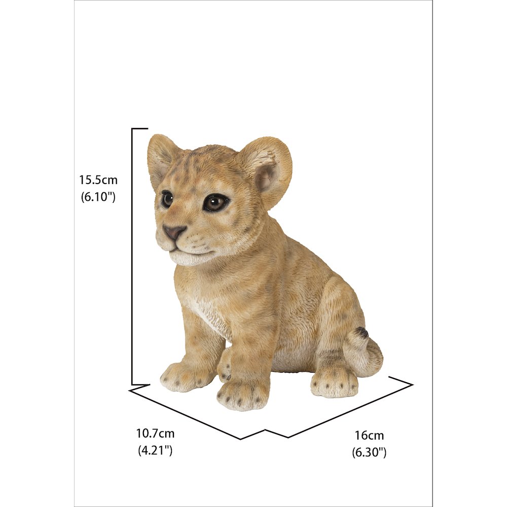 Sitting Lion Cub Statue. Picture 5