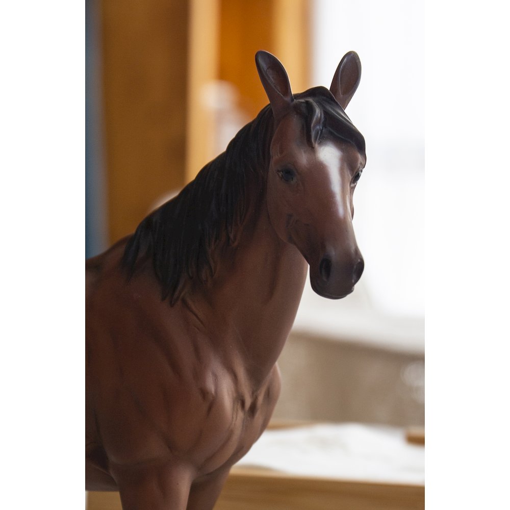 Standing Horse. Picture 6