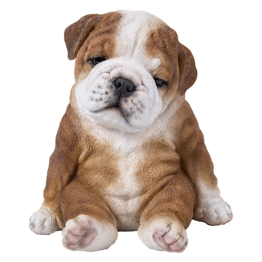 Sitting Sleepy Bulldog Puppy Statue. Picture 2