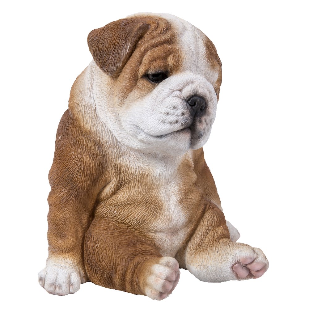 Sitting Sleepy Bulldog Puppy Statue. Picture 3
