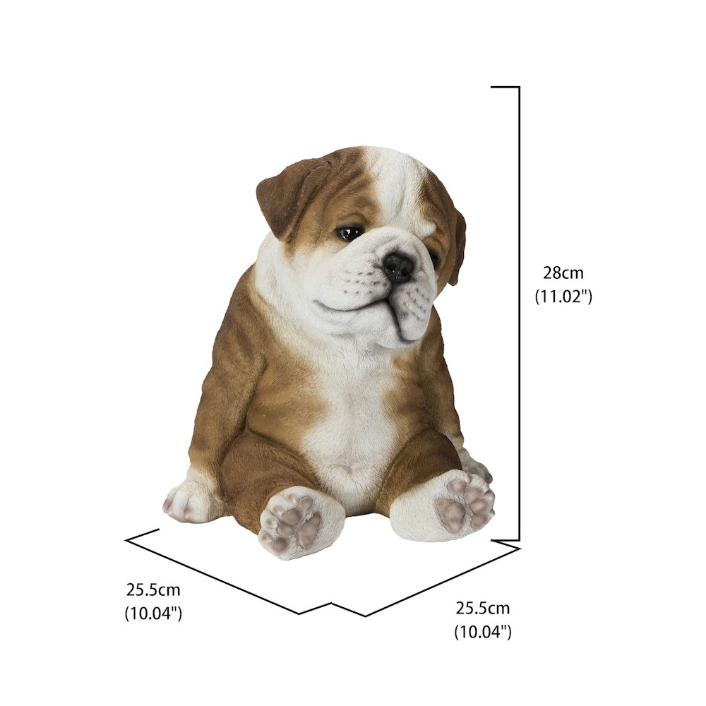 Bulldog Sleeping Medium. Picture 5