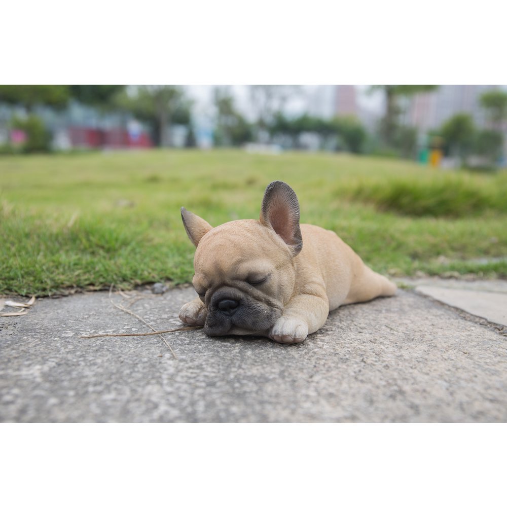 Sleeping Pug Puppy Statue. Picture 6