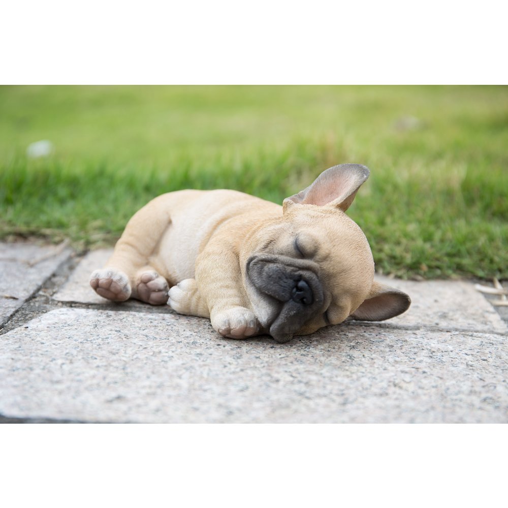 Sleeping Pug Puppy Statue. Picture 6