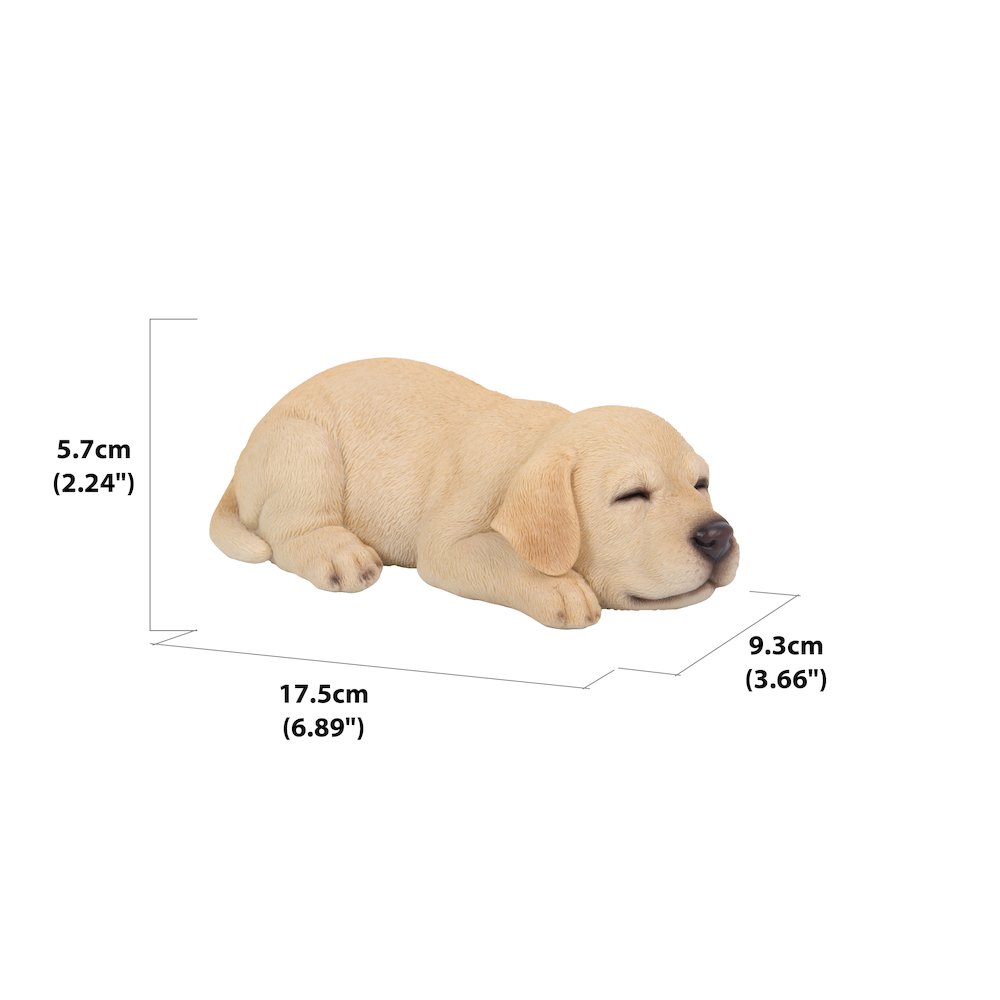 Sleeping Labrador Puppy Statue. Picture 4