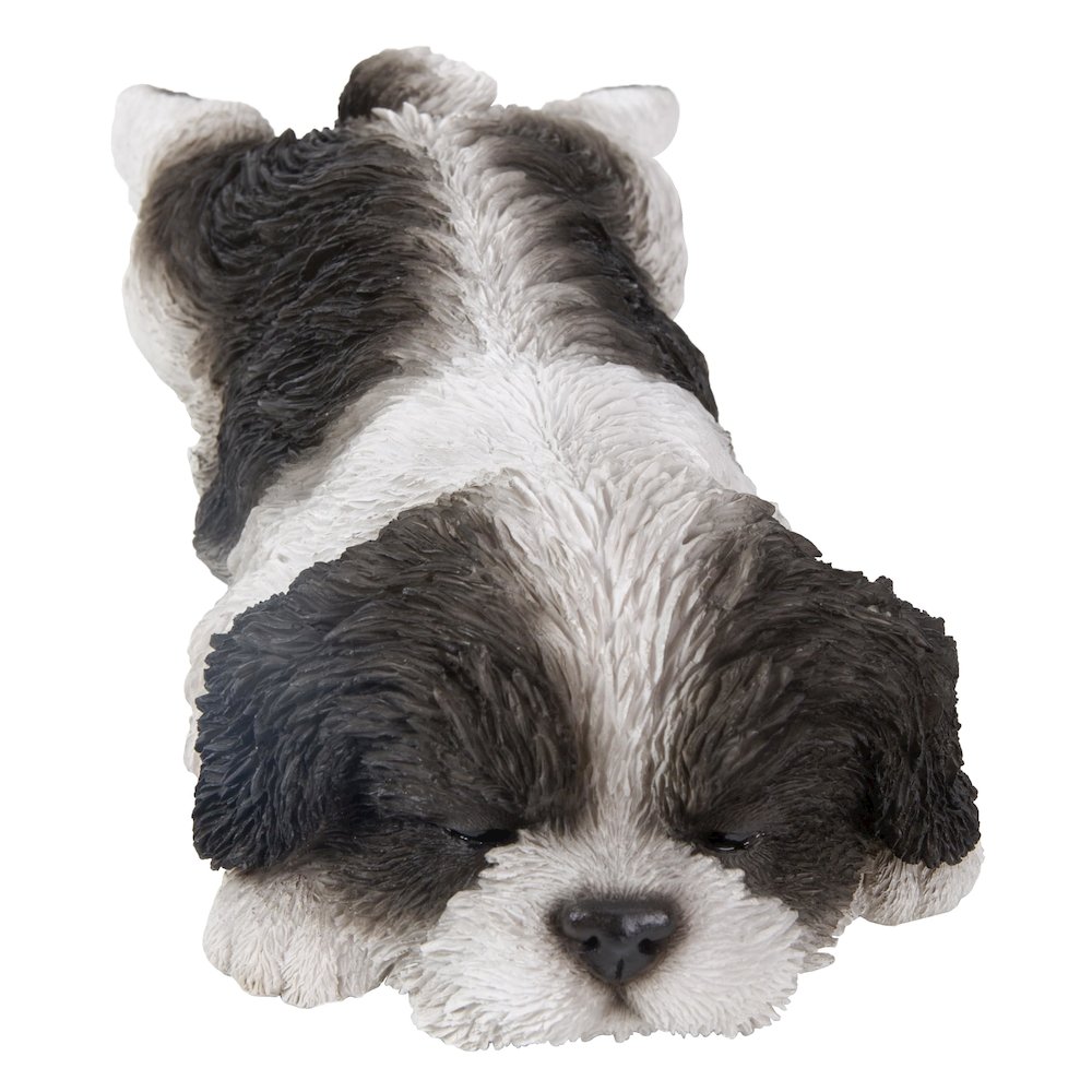 Black/White Shih Tzu Puppy Sleeping. Picture 6