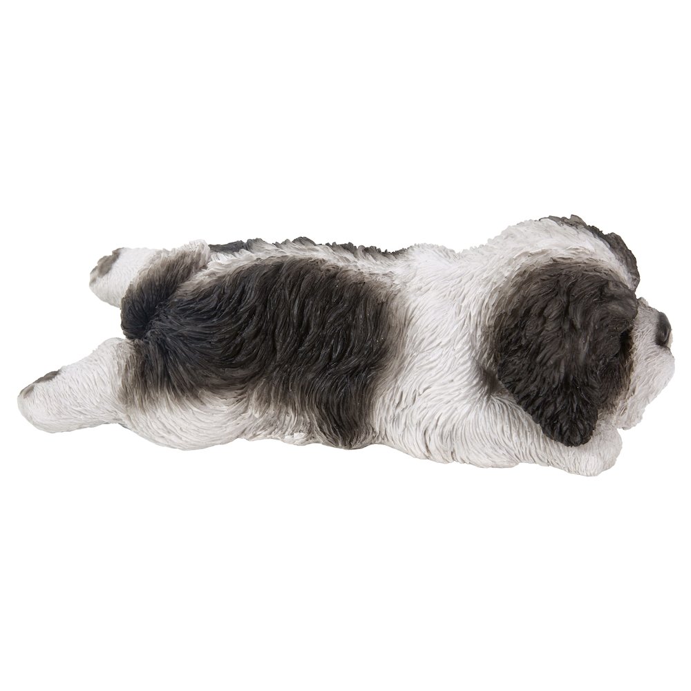 Black/White Shih Tzu Puppy Sleeping. Picture 5