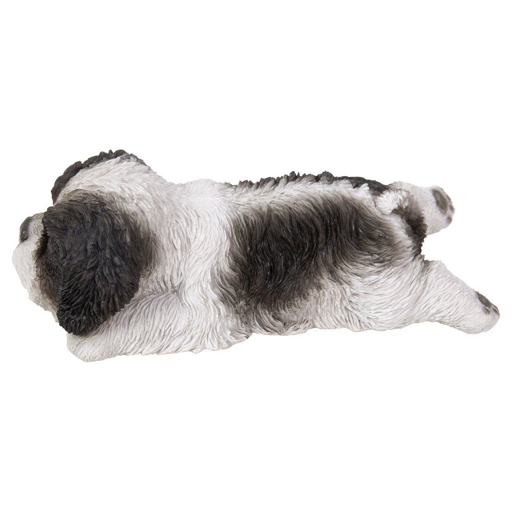 Black/White Shih Tzu Puppy Sleeping. Picture 3