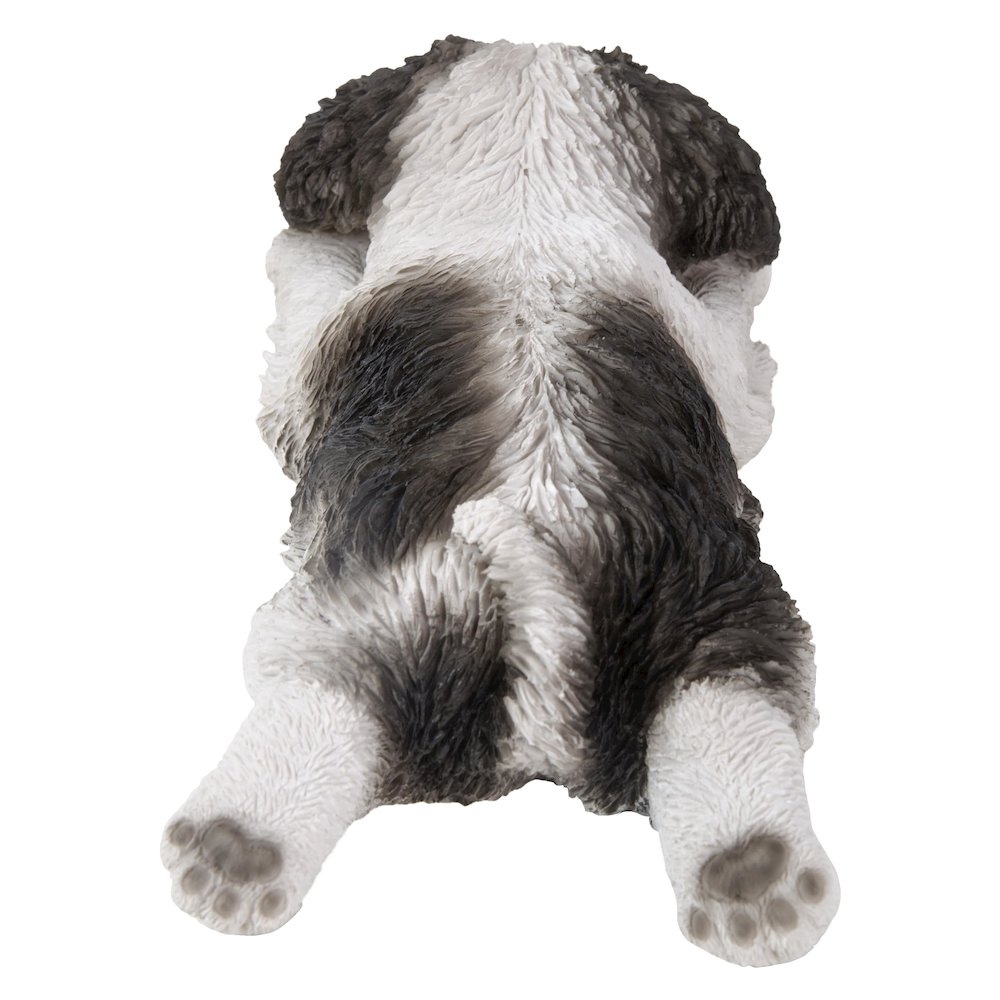 Black/White Shih Tzu Puppy Sleeping. Picture 7