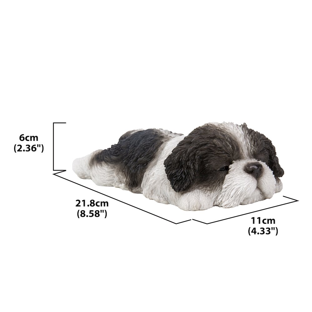 Black/White Shih Tzu Puppy Sleeping. Picture 1