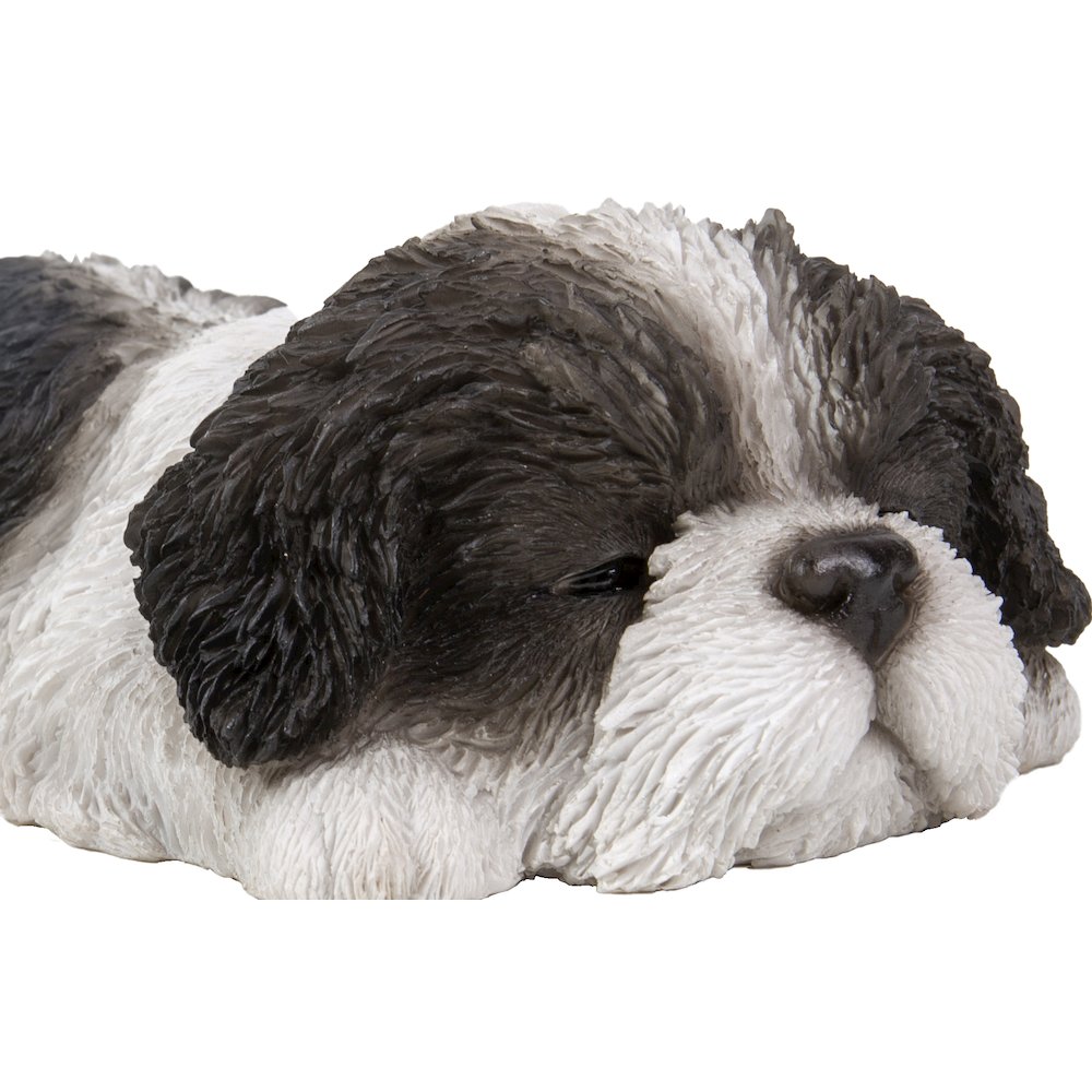 Black/White Shih Tzu Puppy Sleeping. Picture 2