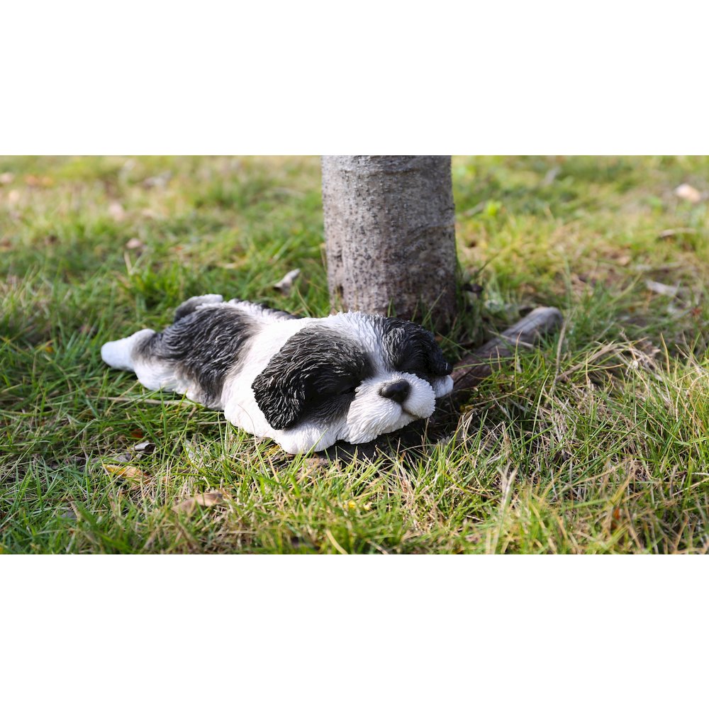 Black/White Shih Tzu Puppy Sleeping. Picture 4