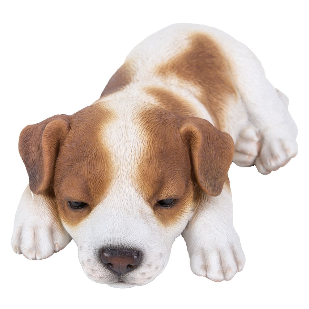 Jack Russell Puppy Sleeping. Picture 2