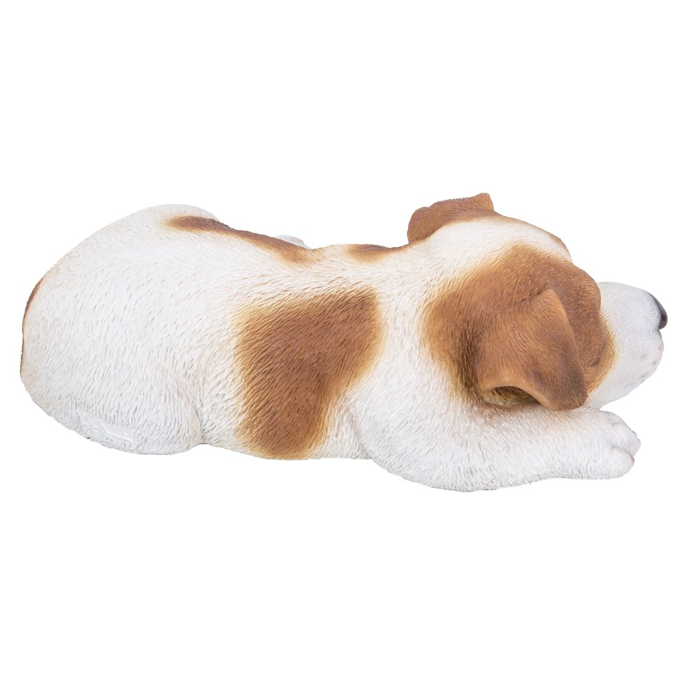 Jack Russell Puppy Sleeping. Picture 4