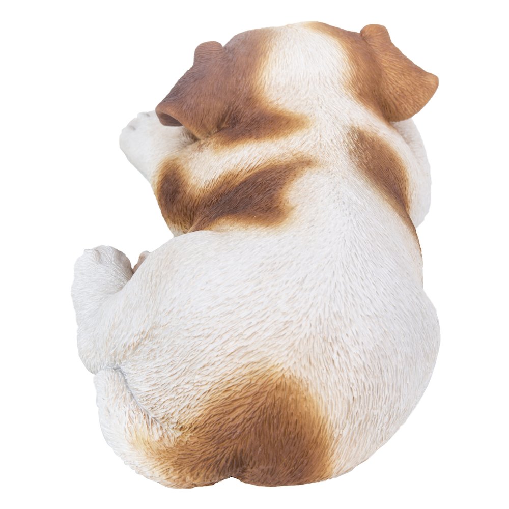 Jack Russell Puppy Sleeping. Picture 3