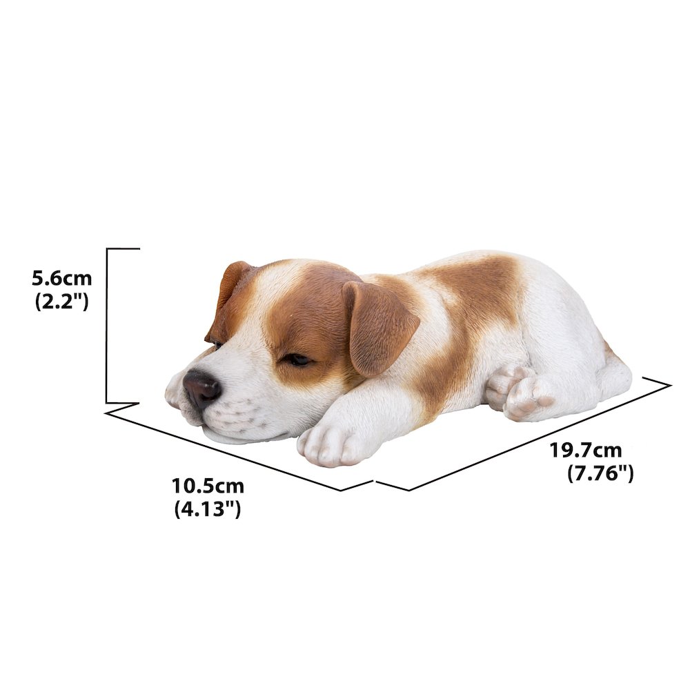Jack Russell Puppy Sleeping. Picture 6