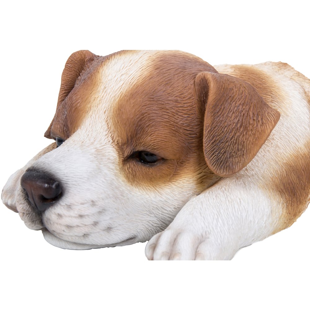 Jack Russell Puppy Sleeping. Picture 5