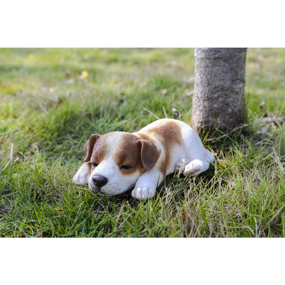 Jack Russell Puppy Sleeping. Picture 7