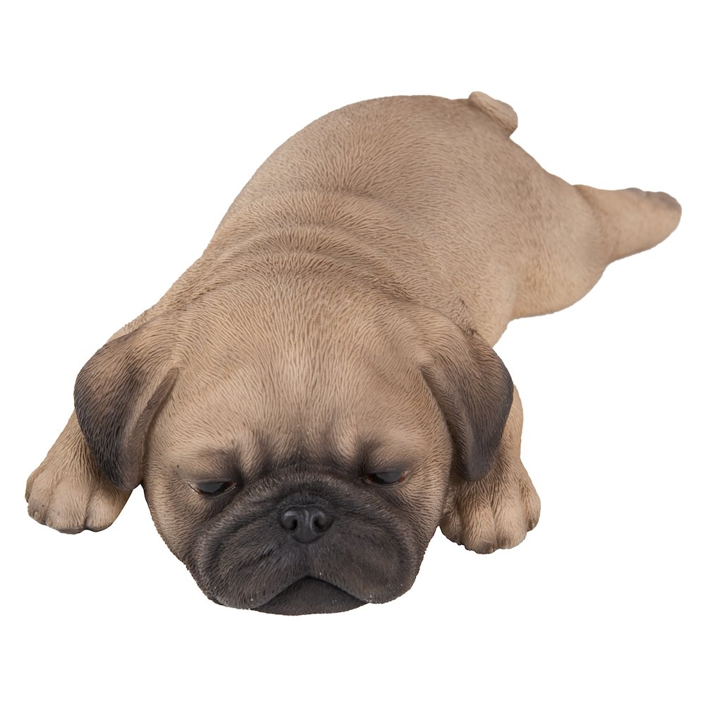 Pug Puppy Sleeping. Picture 2
