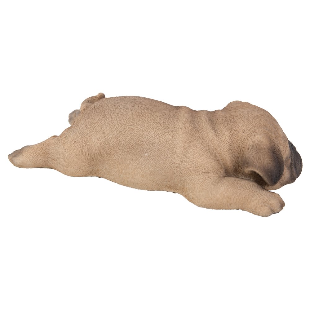 Pug Puppy Sleeping. Picture 3