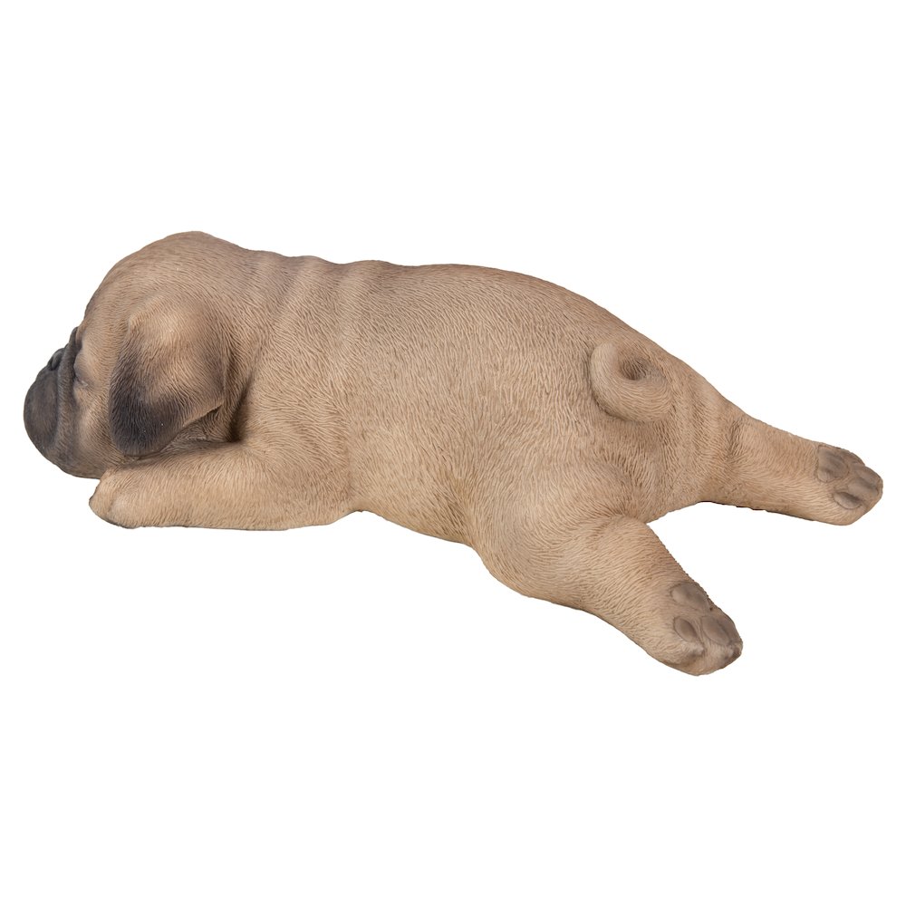 Pug Puppy Sleeping. Picture 1