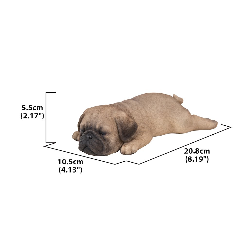 Pug Puppy Sleeping. Picture 5