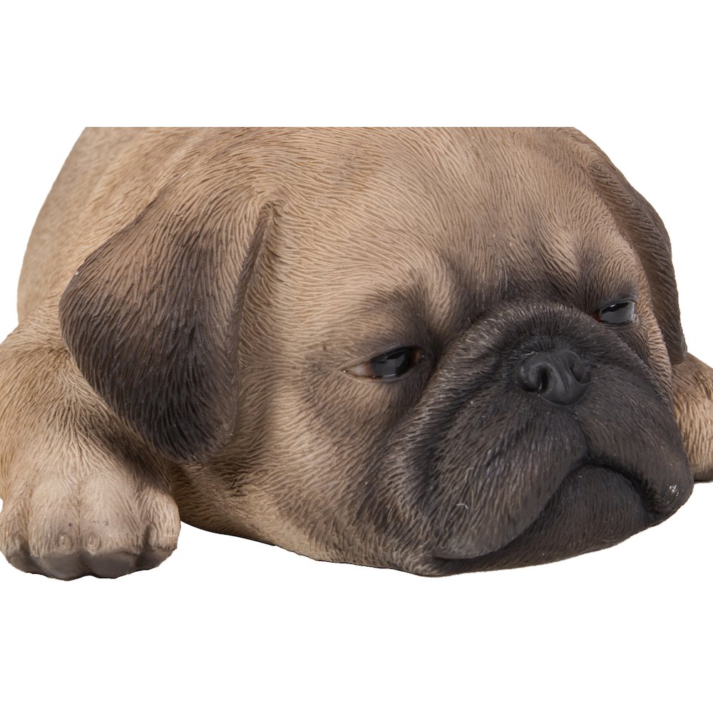 Pug Puppy Sleeping. Picture 6