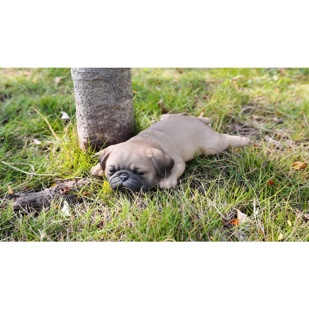 Pug Puppy Sleeping. Picture 7