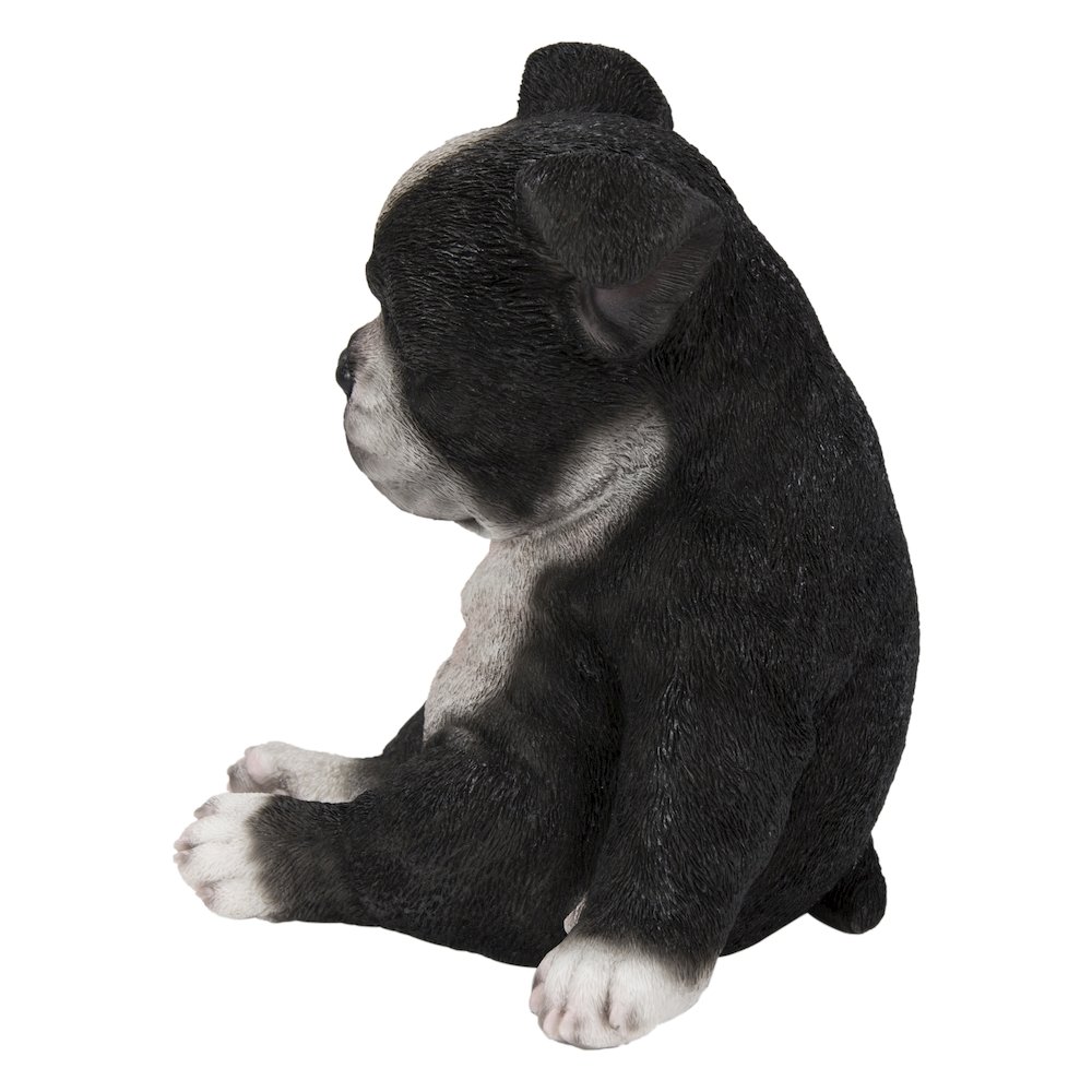 Sleepy Boston Terrier Puppy Statue Sitting. Picture 3