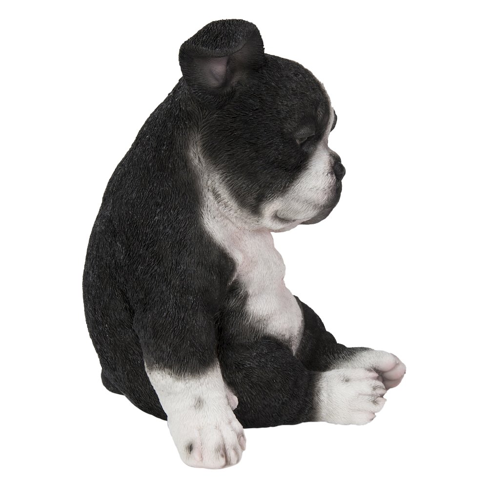 Sleepy Boston Terrier Puppy Statue Sitting. Picture 1