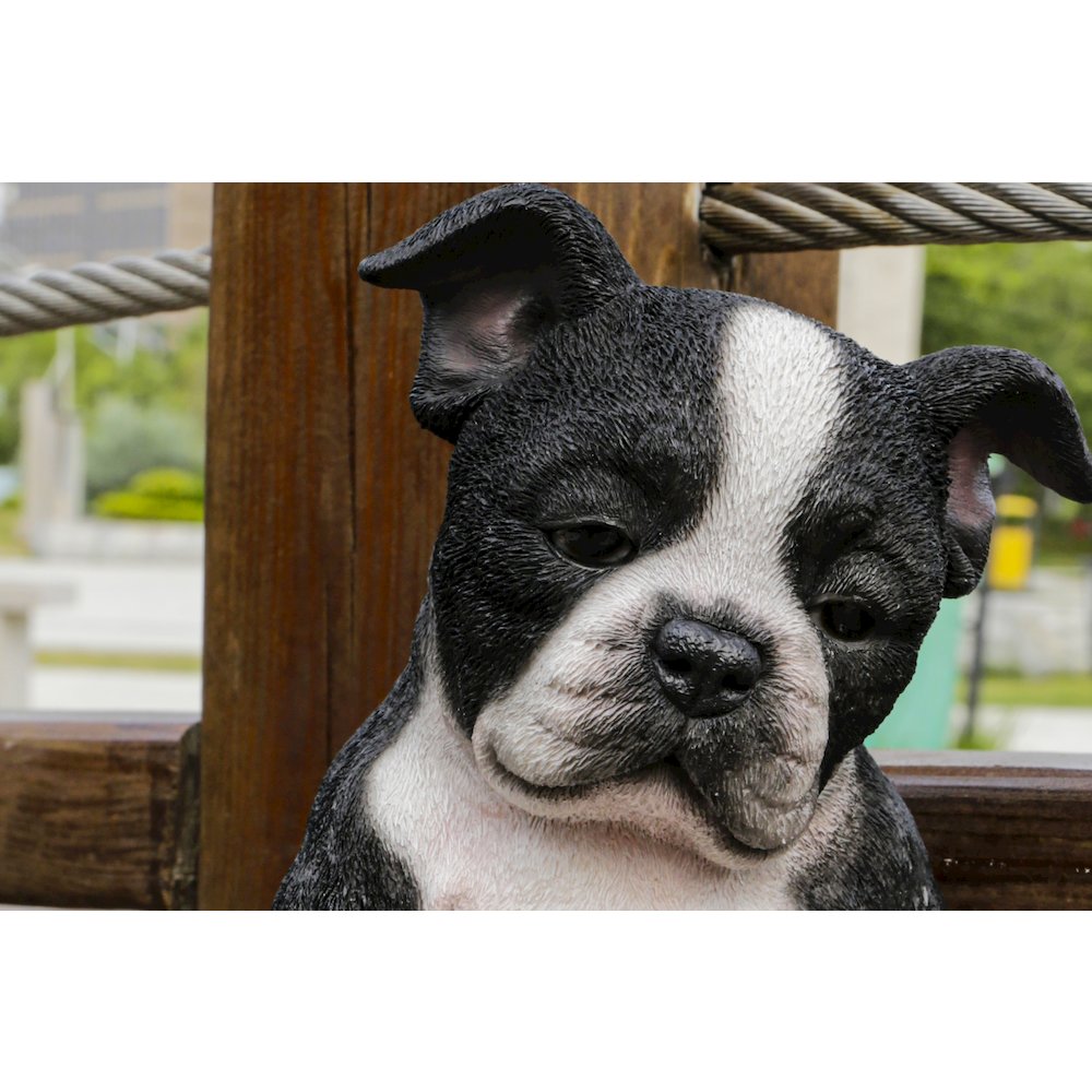 Sleepy Boston Terrier Puppy Statue Sitting. Picture 6