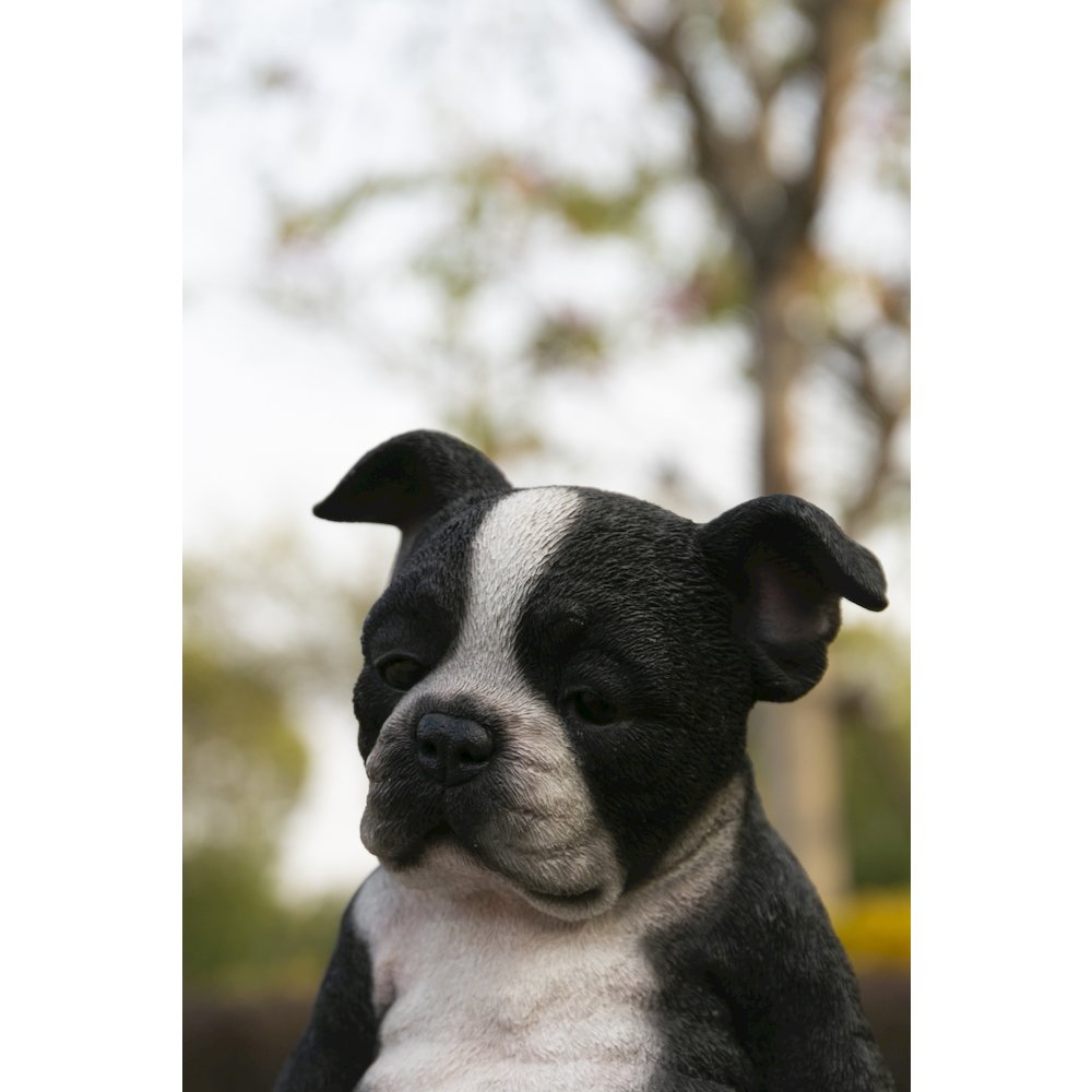 Sleepy Boston Terrier Puppy Statue Sitting. Picture 7