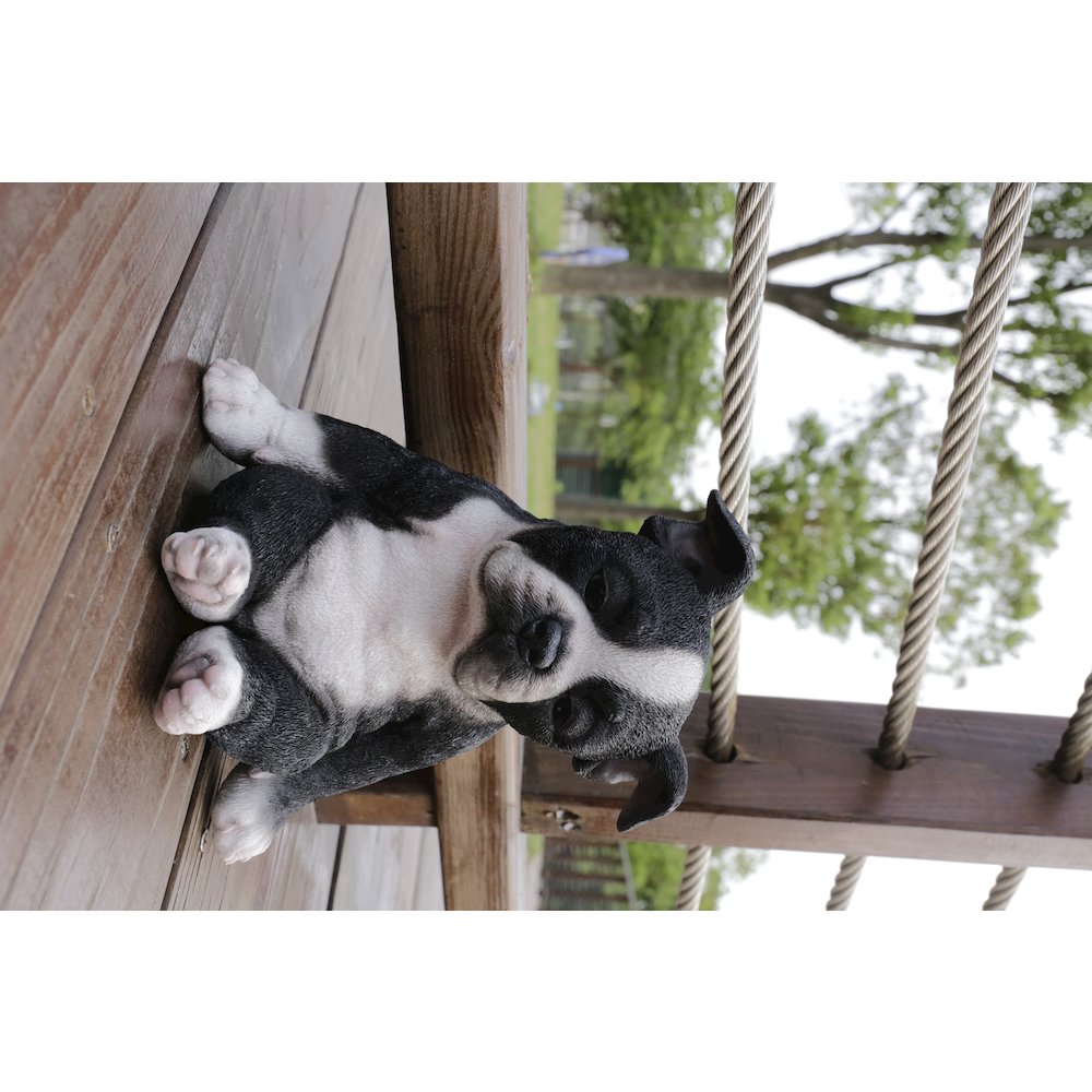 Sleepy Boston Terrier Puppy Statue Sitting. Picture 8