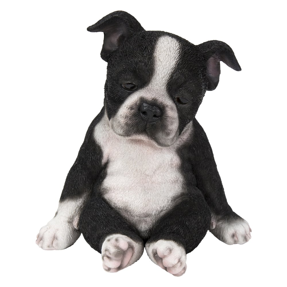 Sleepy Boston Terrier Puppy Statue Sitting. Picture 2