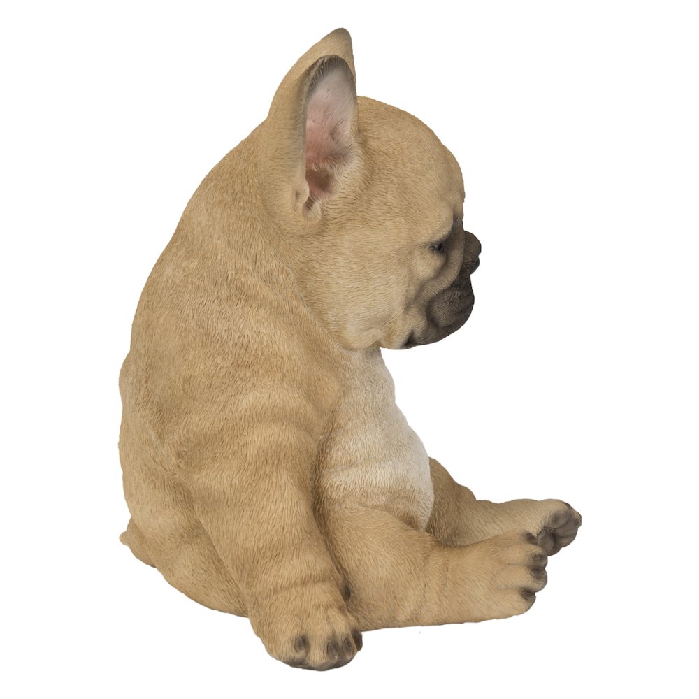 Sleepy French Bulldog Puppy Statue Sitting. Picture 4