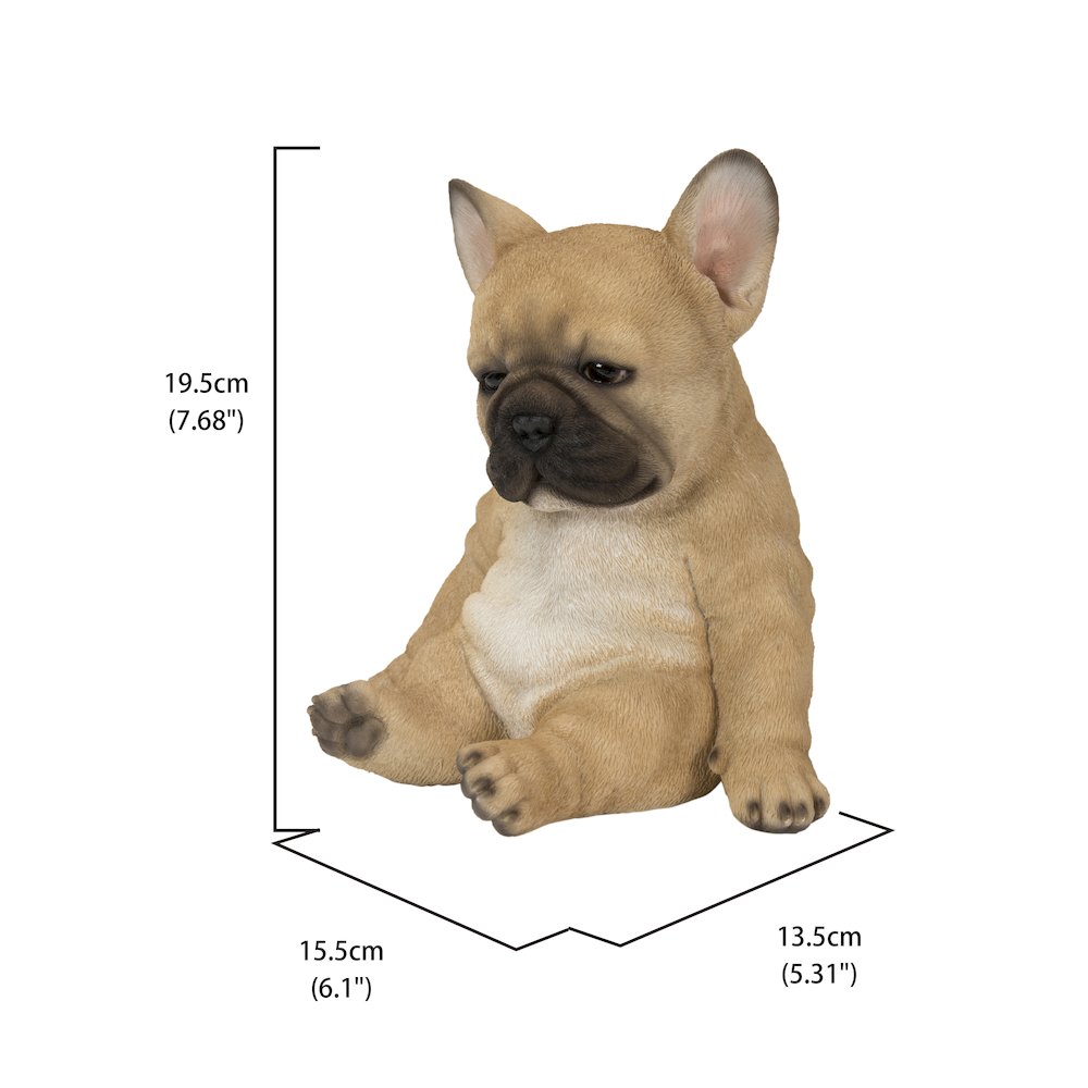 Sleepy French Bulldog Puppy Statue Sitting. Picture 5