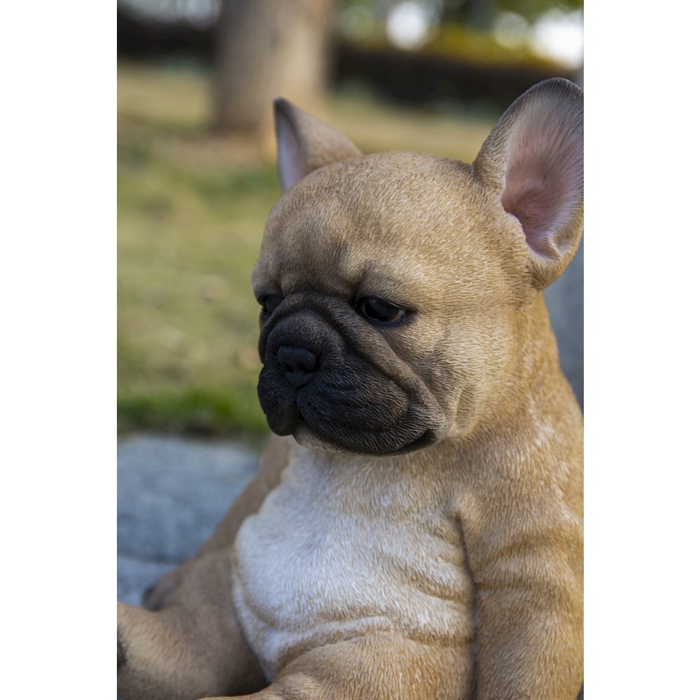 Sleepy French Bulldog Puppy Statue Sitting. Picture 7