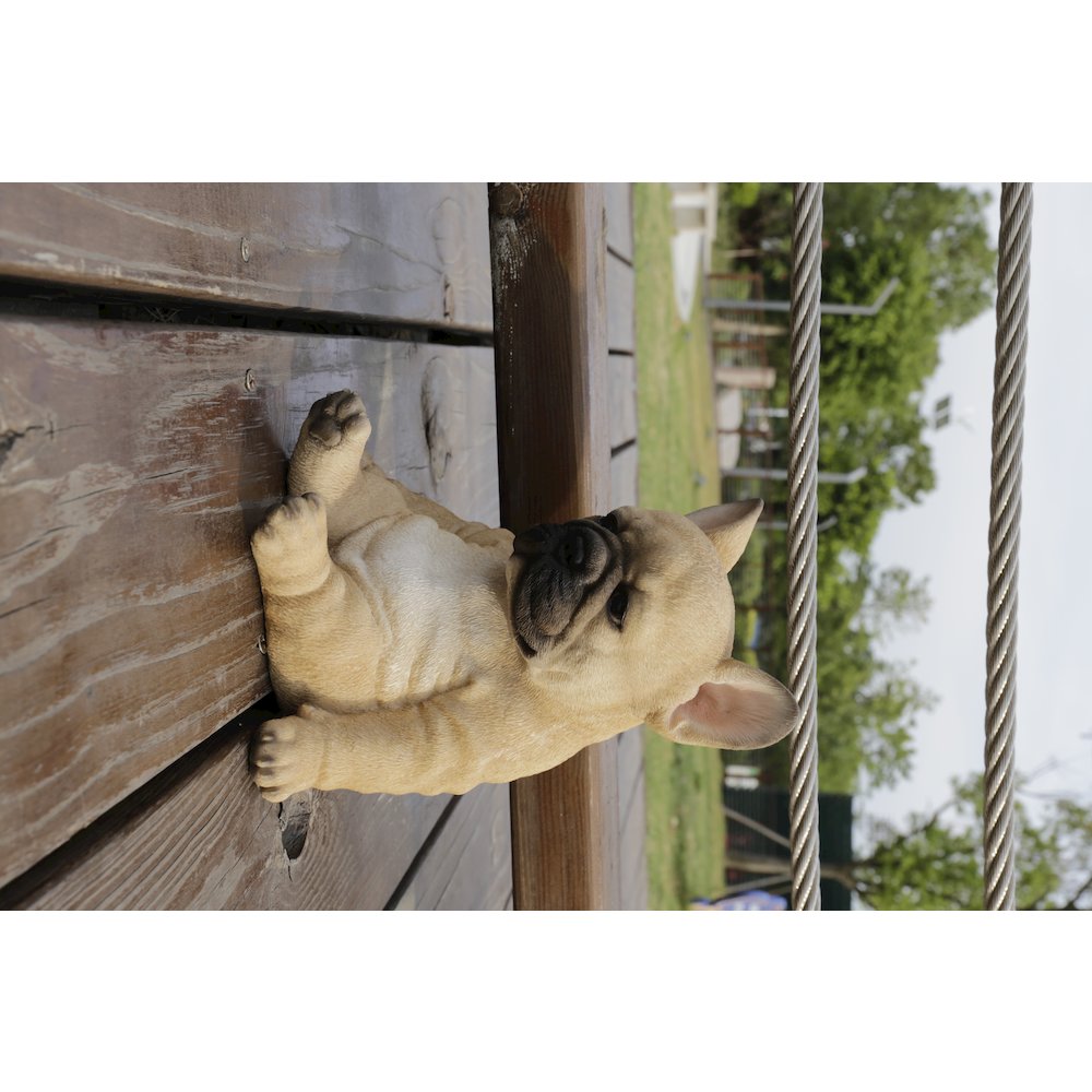 Sleepy French Bulldog Puppy Statue Sitting. Picture 8