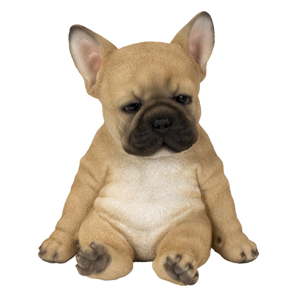 Sleepy French Bulldog Puppy Statue Sitting. Picture 2
