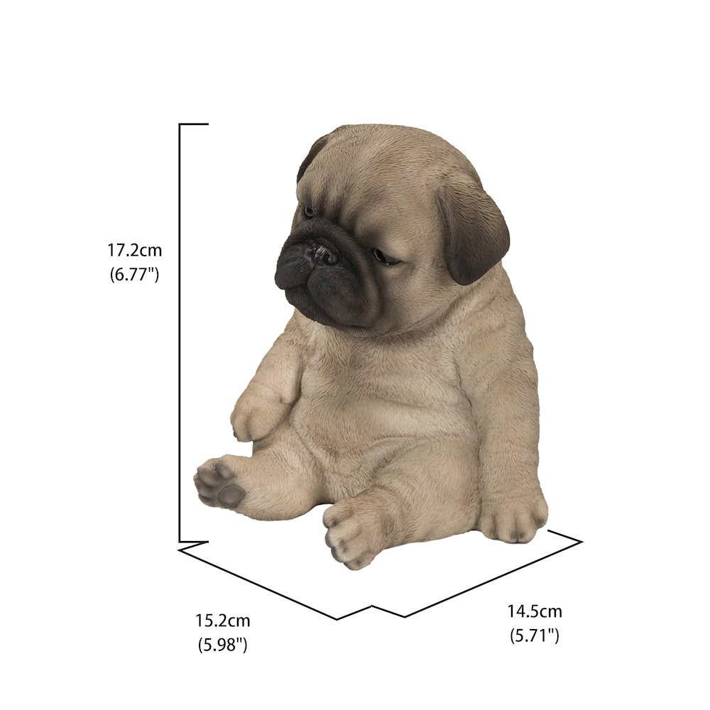 Sleepy Pug Puppy Statue Sitting. Picture 5