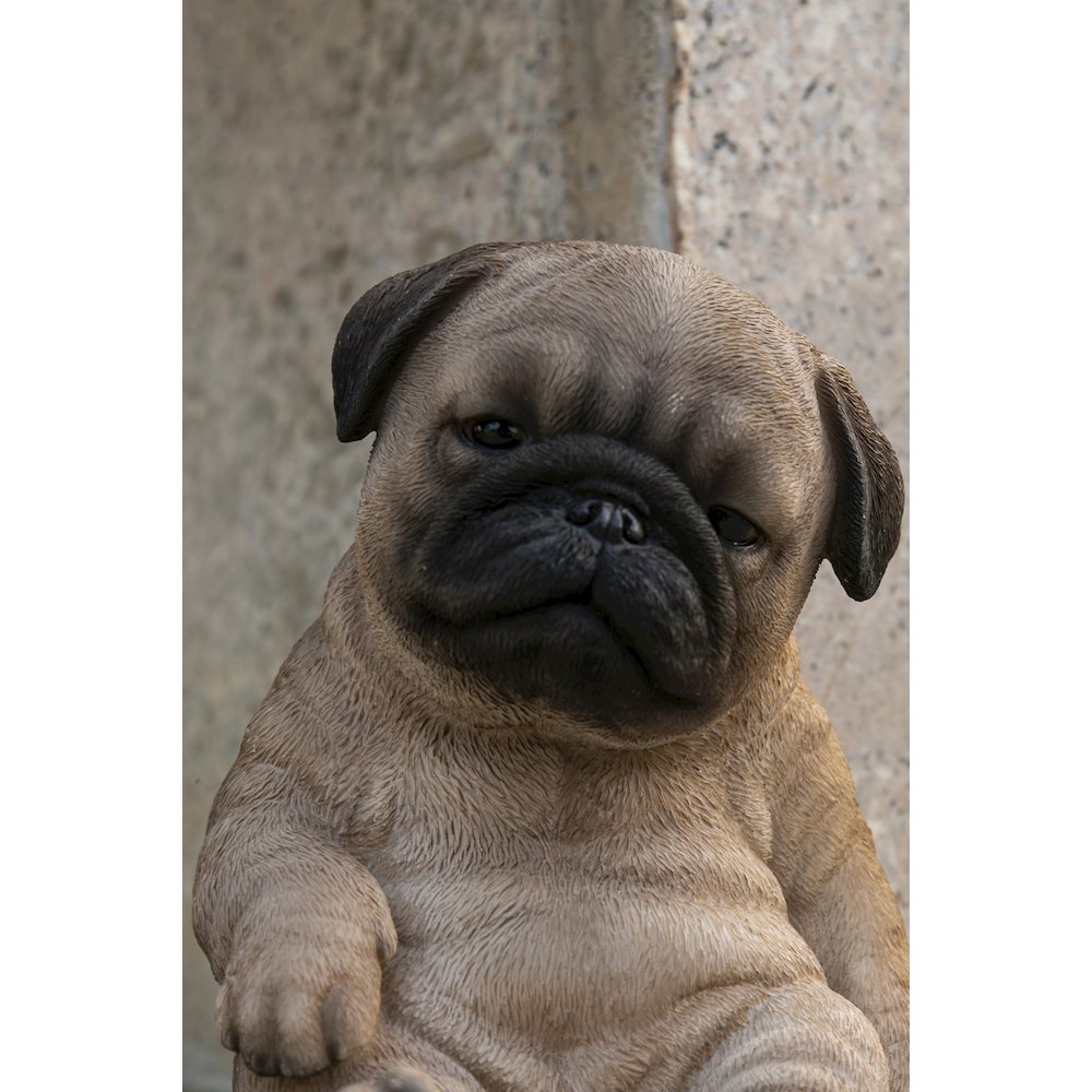 Sleepy Pug Puppy Statue Sitting. Picture 7