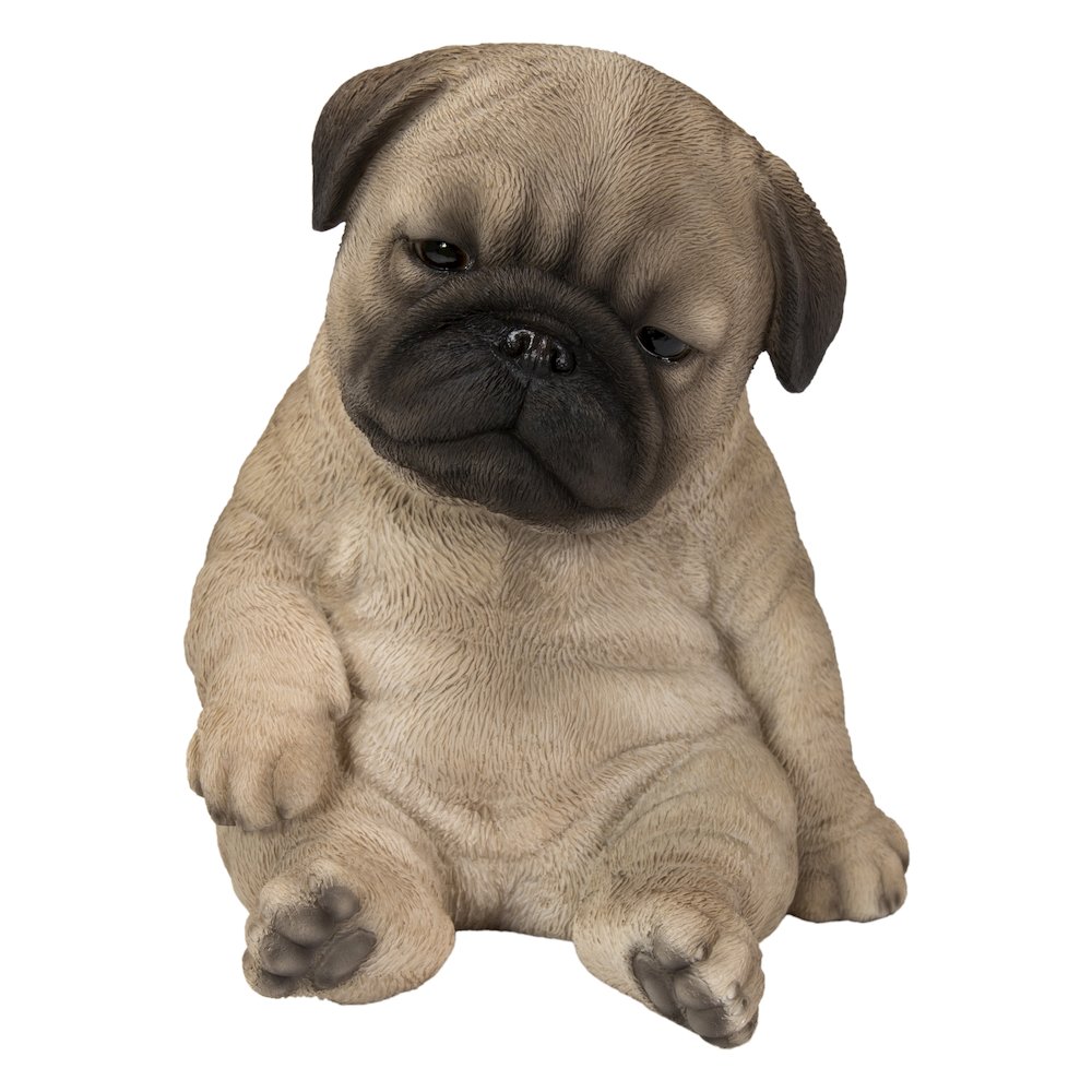Sleepy Pug Puppy Statue Sitting. Picture 2