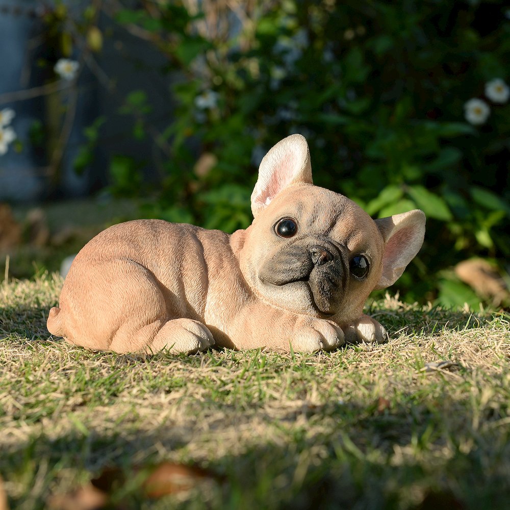 Bulldog Bliss: Polyresin Resting French Bulldog in Rich Brown. Picture 2