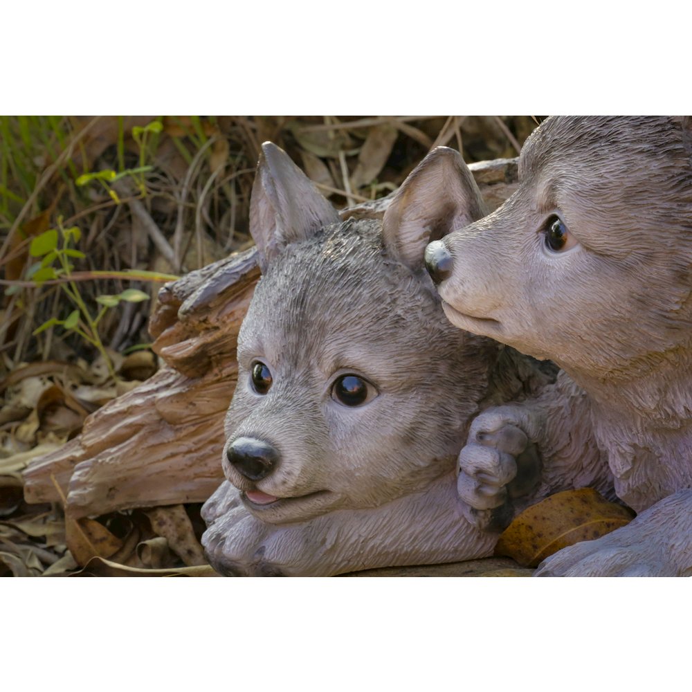 Grey Wolf Cubs Hiding Under Log Statue. Picture 5