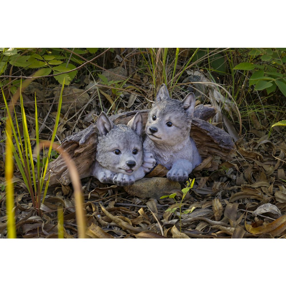 Grey Wolf Cubs Hiding Under Log Statue. Picture 8