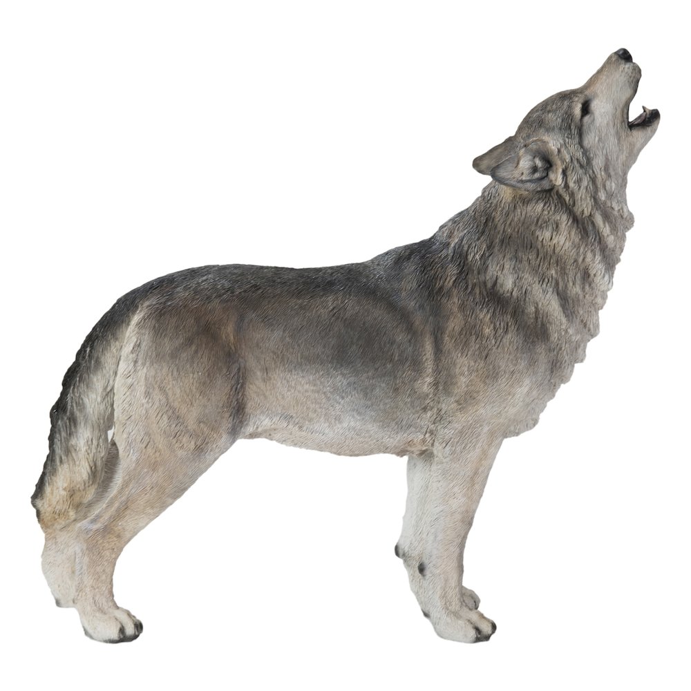 Standing Howling Grey Wolf Statue. Picture 1