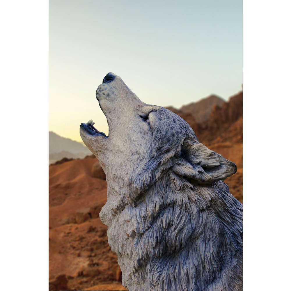 Standing Howling Grey Wolf Statue. Picture 3