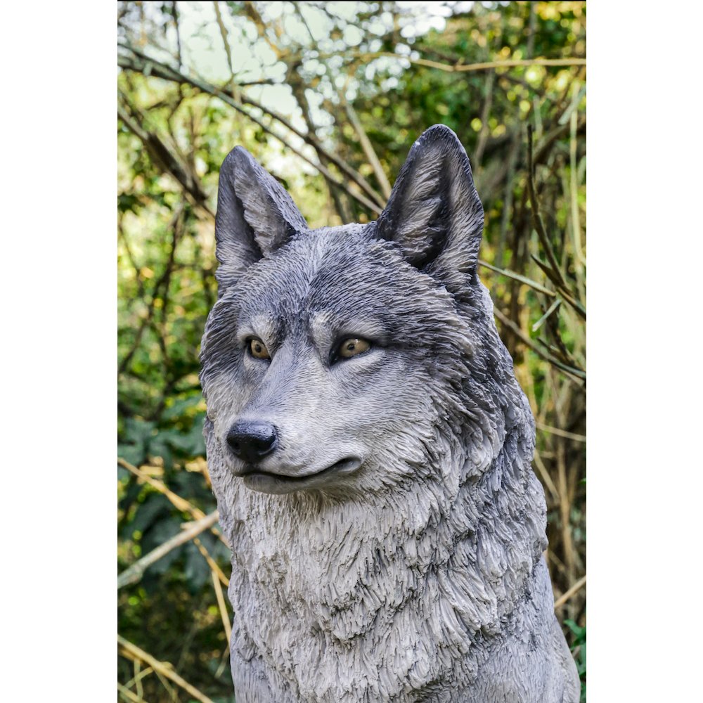 Sitting Grey Wolf Statue. Picture 6