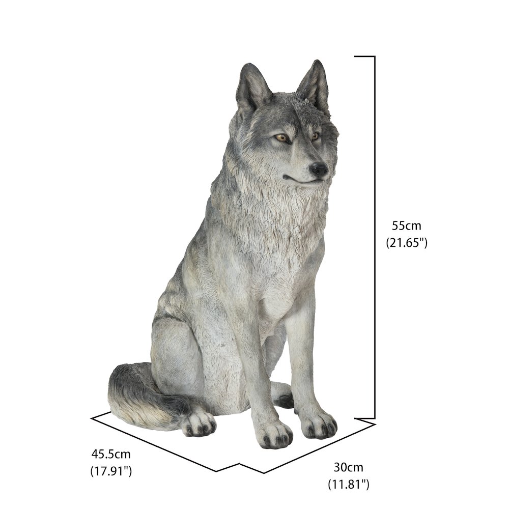 Sitting Grey Wolf Statue. Picture 4