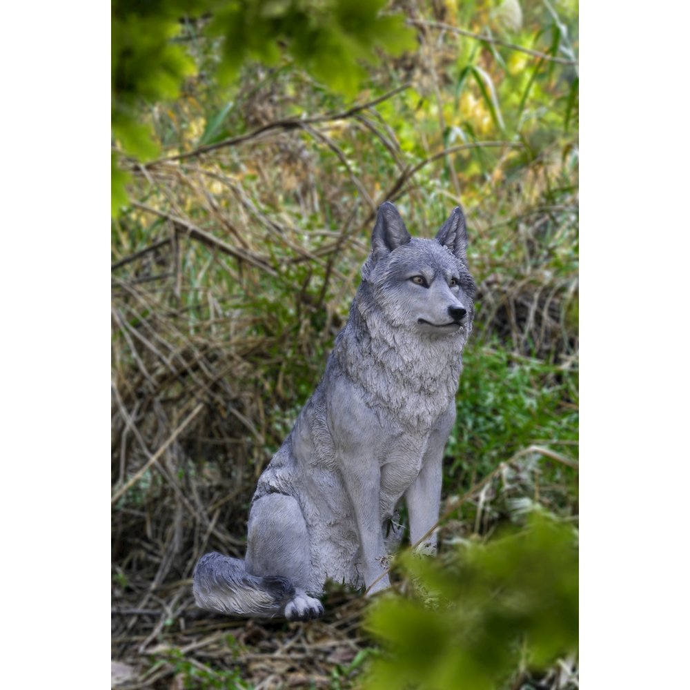 Sitting Grey Wolf Statue. Picture 5